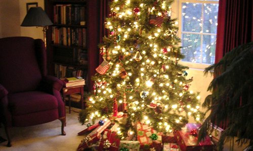 Πώς να επιλέξετε το Χριστουγεννιάτικο Δέντρο σας