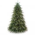 Χριστουγεννιάτικα Δέντρα με Ύψος 210 cm