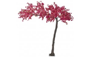 Διακοσμητικό δέντρο βουκαμβίλια σε φούξια χρώμα 320 εκ