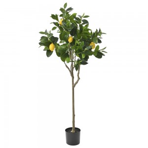 Διακοσμητικό δέντρο λεμονιάς σε γλάστρα με λεμόν&io