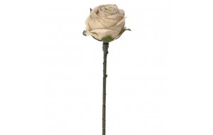 Διακοσμητικό τεχνητό κλαδί τριαντάφυλλο σε κρεμ απόχρωση 28 εκ