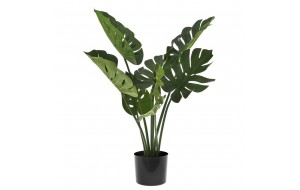 Διακοσμητικό φυτό με δώδεκα φύλλα μονστέρα και γλάστρα 38 εκ