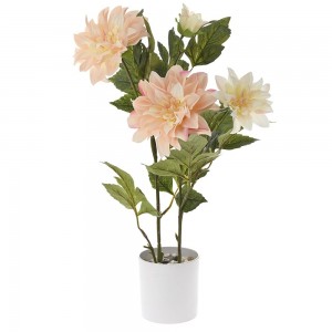 Διακοσμητικό φυτό με λουλούδια ντάλια με γλάστρα 55 εκ
