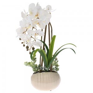 Φυτό διακοσμητικό σε λευκή κεραμική γλάστρα με λευκή ορχιδέα 44 εκ