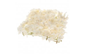 Πάνελ με διακοσμητικά λευκά άνθη ορτανσίας 27x27 εκ