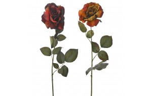 Κλαδί διακοσμητικό τριαντάφυλλο ανοιχτό σε δύο χρώματα 71 εκ