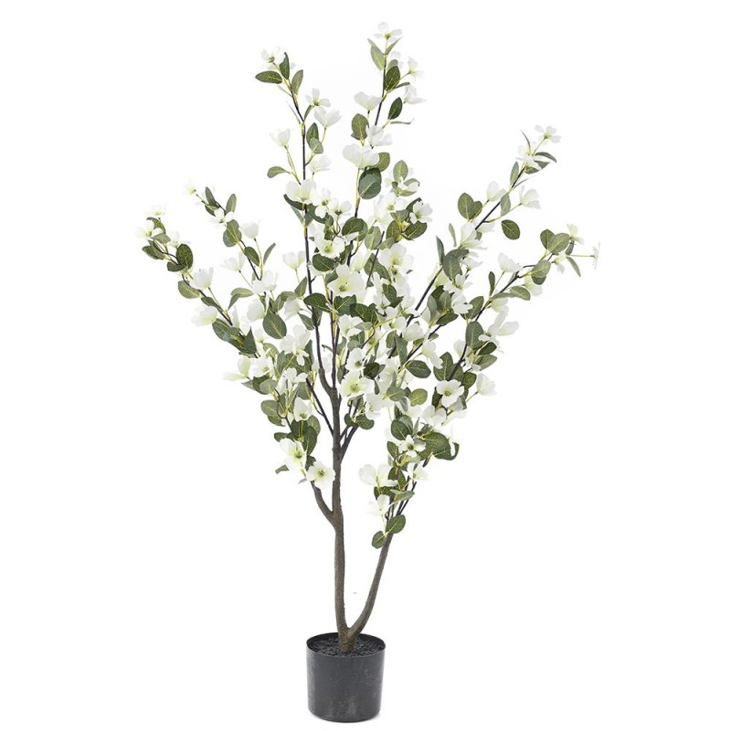 Φυτό διακοσμητικό σε pp γλάστρα με λευκά άνθη 120 εκ
