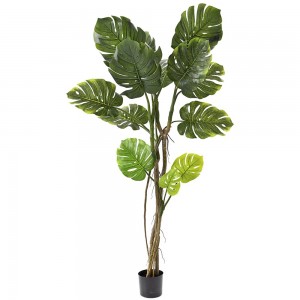 Φυτό μονστέρα τεχνητή με οκτώ φύλλα σε pp γλάστρα 160 εκ