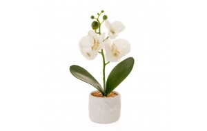 Διακοσμητική κεραμική γλάστρα σε λευκό χρώμα με τεχνητό φυτό ορχιδέα σε λευκή απόχρωση 7x24 εκ
