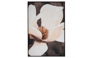 Magnolia πίνακας ελαιογραφίας σε τυπωμένο καμβά με θέμα λουλούδι μανόλια και ξύλινη μαύρη κορνίζα 83x123 εκ