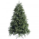 EchoFraser Χριστουγεννιάτικο πράσινο δέντρο με ύψος 240 εκ