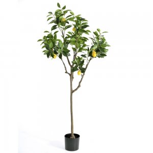 Διακοσμητικό δέντρο λεμονιάς σε γλάστρα με λεμόν&io