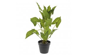 Διακοσμητικό φυτό φυλλόδεντρο με δεκαοχτώ φύλλα και γλάστρα 48 εκ