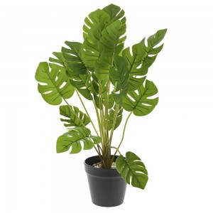 Φυτό διακοσμητικό με δεκαοχτώ φύλλα μονστέρα και γλάστρα 48 εκ