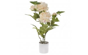 Διακοσμητικό φυτό με γλάστρα και λουλούδια 60 εκ