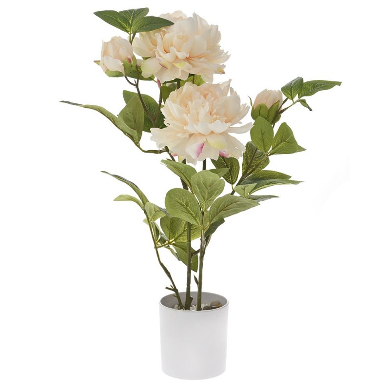 Διακοσμητικό φυτό με γλάστρα και λουλούδια 60 εκ