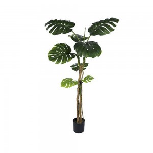 Φυτό μονστέρα τεχνητή με οκτώ φύλλα σε pp γλάστρα 160 εκ