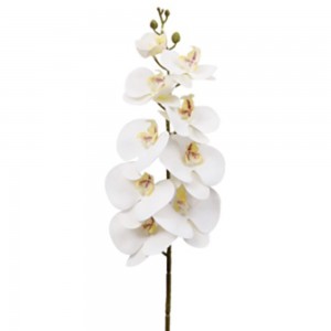 Κλαδί λευκη ορχιδέα άνθη 95 εκ