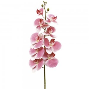 Κλαδί ροζ ορχιδέα άνθη 95 εκ