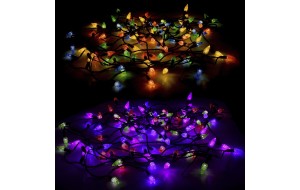 100 LED λαμπάκια με πρόγραμμα πράσινο καλώδιο και λαμπάκι κουκουνάρι σε πολύχρωμο φωτισμό 10 μέτρα