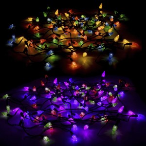 100 LED λαμπάκια με πρόγραμμα πράσινο καλώδιο και λαμπάκι κουκουνάρι σε πολύχρωμο φωτισμό 10 μέτρα