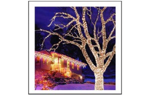 240 LED Εξωτερικού χώρου IP44 με πρόγραμμα πράσινο καλώδιο - Soft White  φως 10m G/SW