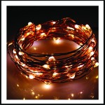 100 Led λαμπάκια αδιάβροχα μπαταρίας ή ρεύματος με χρονοδιακόπτη με μπρονζέ χάλκινο καλώδιο και θερμό λευκό φως 10μ