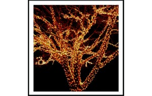 240 LED Εξωτερικού χώρου IP44 με πρόγραμμα πράσινο καλώδιο - θερμό φως 10m G/WW