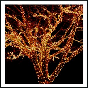 240 LED Εξωτερικού χώρου IP44 με πρόγραμμα πράσινο καλώδιο - θερμό φως 10m G/WW