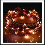 100 Led λαμπάκια αδιάβροχα μπαταρίας ή ρεύματος με χρονοδιακόπτη με μπρονζέ χάλκινο καλώδιο και θερμό λευκό φως 10μ