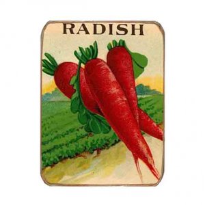 Μαγνητάκι ψυγείου ρετρό χειροποίητο radish 6x8 εκ