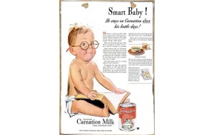 Ρετρό πίνακας χειροποίητος smart baby Carnation