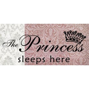 Ξύλινος ρετρό πίνακας χειροποίητος the princess sleeps here 26x13 εκ