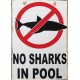 Νο sharks in pool ξύλινος χειροποίητος πίνακας