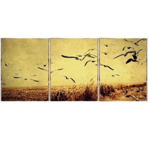 Birds Τρίπτυχος Πίνακας  Χειροποίητος 