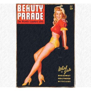 Vintage ξύλινος πίνακας pin up girl