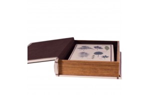 Κουτιά αποθήκευσης σε σχήμα βιβλίου με φύλλα σετ των δύο 19x7x27 εκ