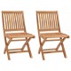 Καρέκλες κήπου πτυσσόμενες σετ δύο τεμαχίων από μασίφ ξύλο teak