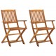 Καρέκλες κήπου πτυσσόμενες σετ δύο τεμαχίων από μασίφ ξύλο ακακίας