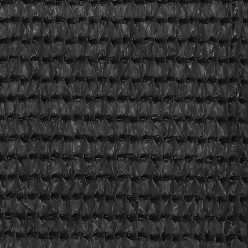 Διαχωριστικό Βεράντας Ανθρακί 120 x 300 εκ. από HDPE