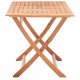 Τραπέζι κήπου πτυσσόμενο από μασίφ ξύλο ευκάλυπτου 120x70x75 εκ