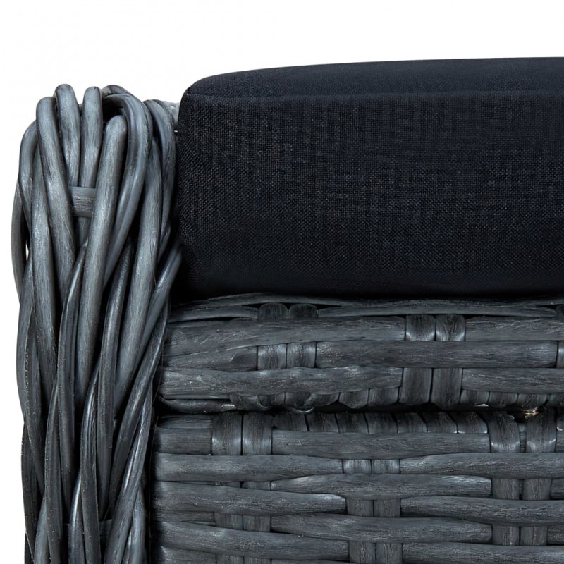 Σετ καθίσματος κήπου δύο τεμαχίων από σκούρο γκρι συνθετικό ρατάν με μαξιλάρια