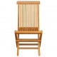 Καρέκλες κήπου 2 τεμ. Από μασίφ ξύλο teak με taupe μαξιλάρια